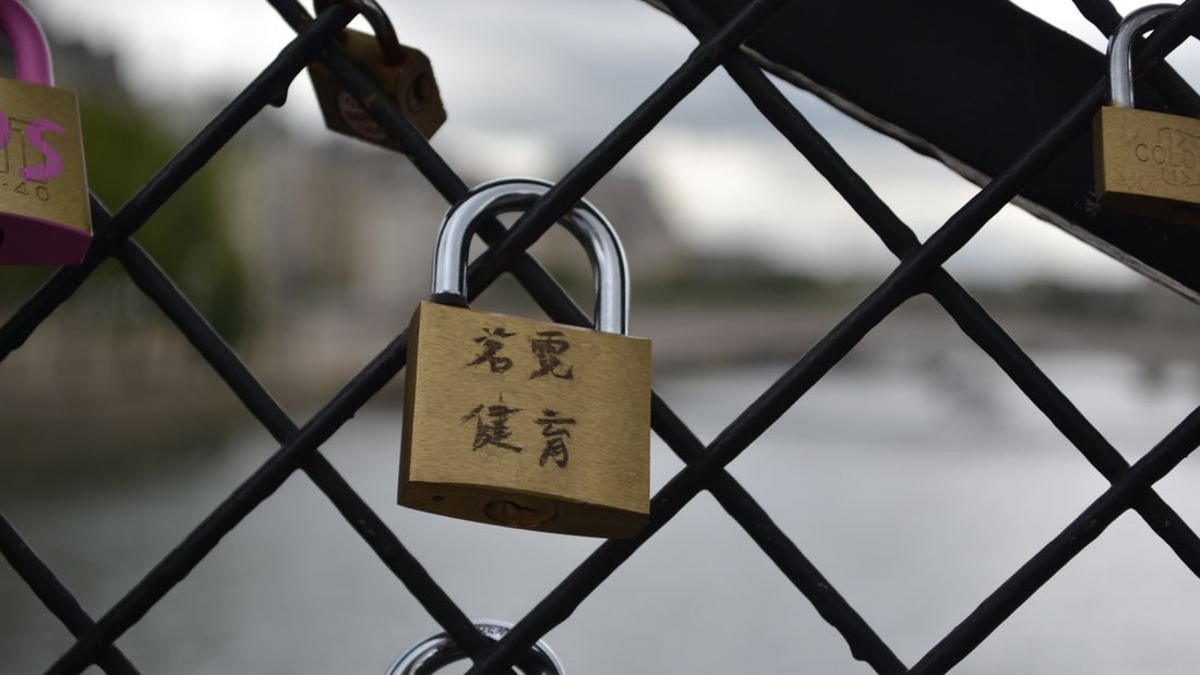 Heavy padlock securing a gate — best anti-theft device for cars