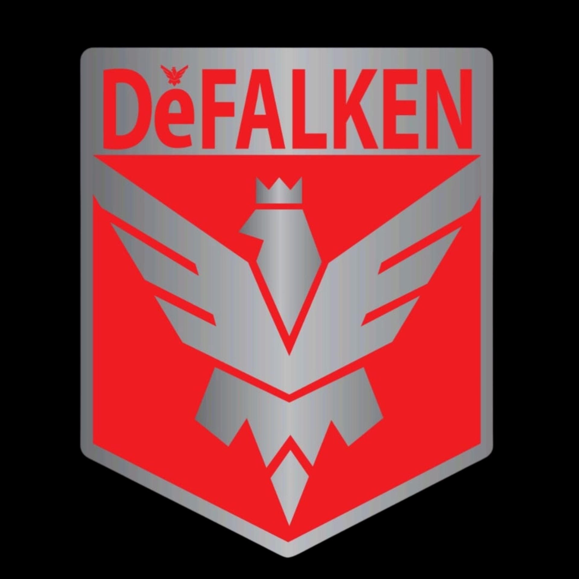 DeFALKEN Anti-Theft Vehicle Device — Hi-Tech Brake Pedal Lock System
